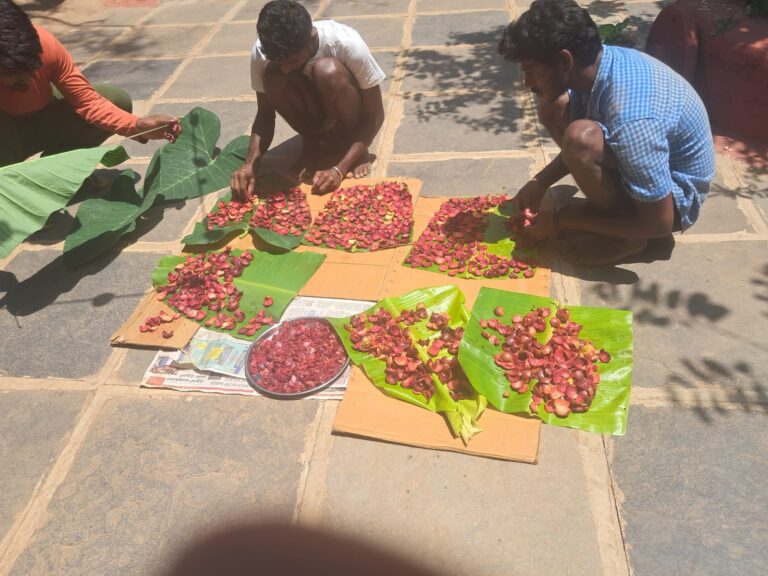 WhatsApp Image 2025-05-14 at 1.52.31 PM