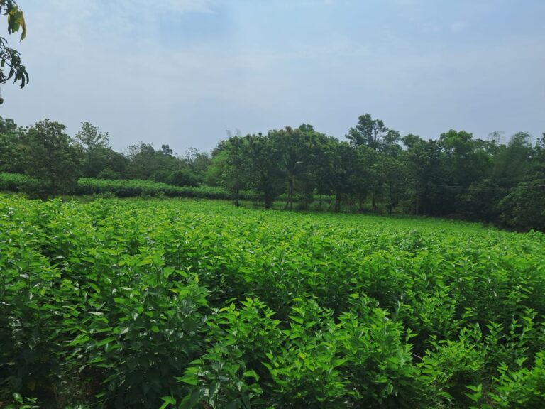 WhatsApp Image 2025-05-14 at 1.56.44 PM