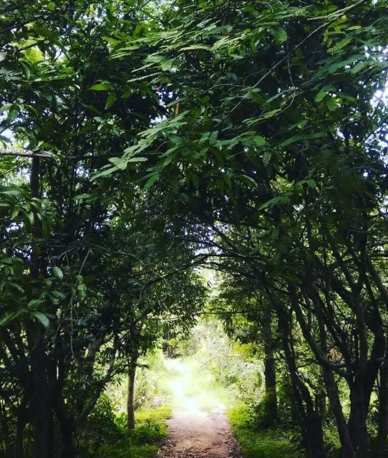 WhatsApp Image 2025-05-14 at 2.05.43 PM