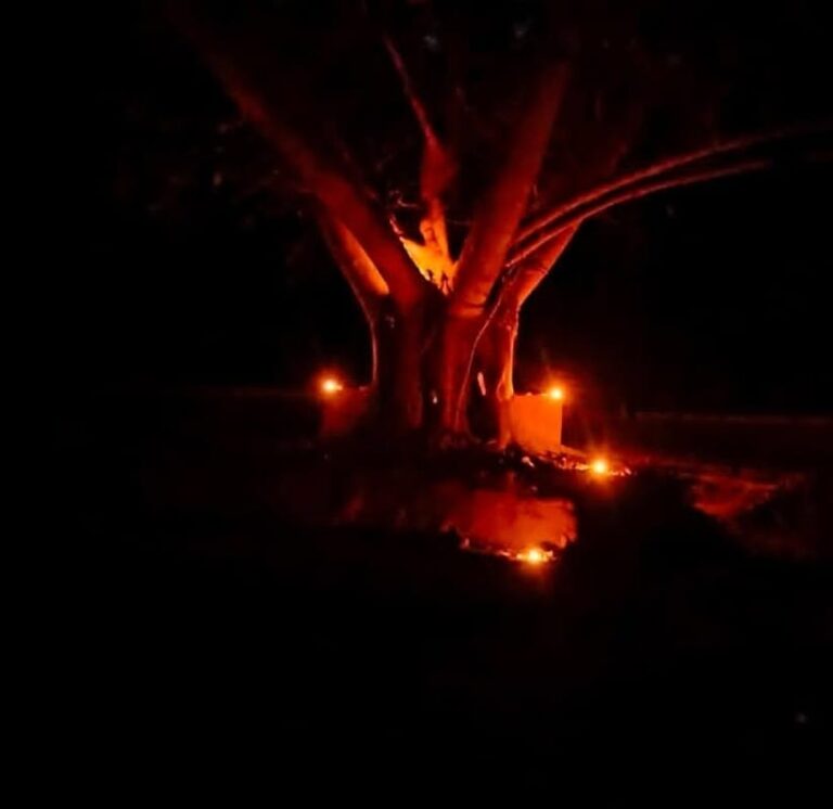 WhatsApp Image 2025-05-14 at 2.07.16 PM