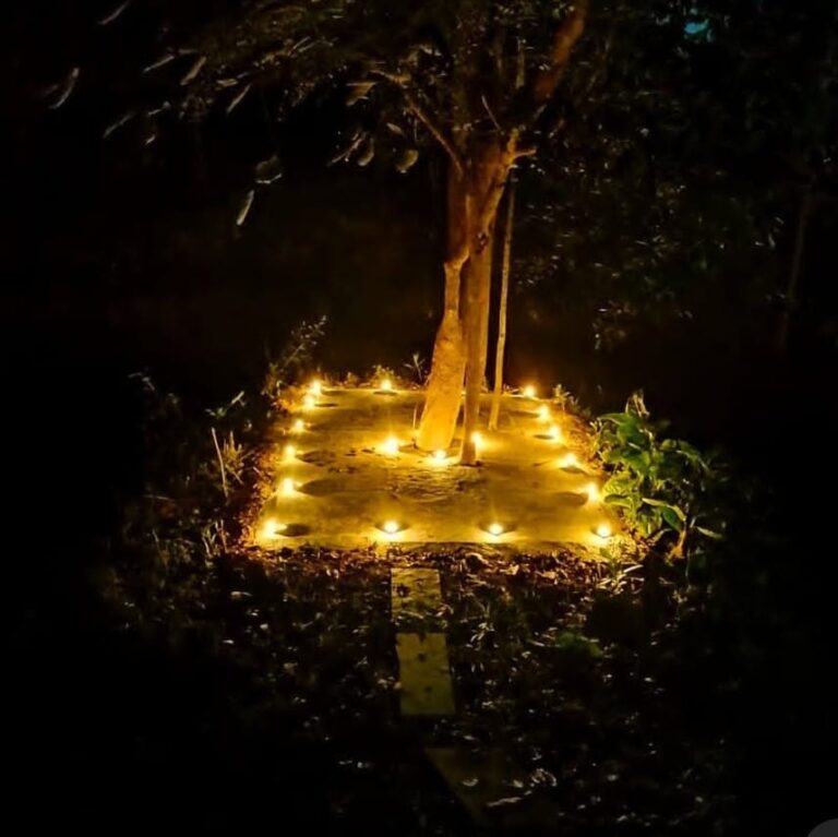 WhatsApp Image 2025-05-14 at 2.07.55 PM