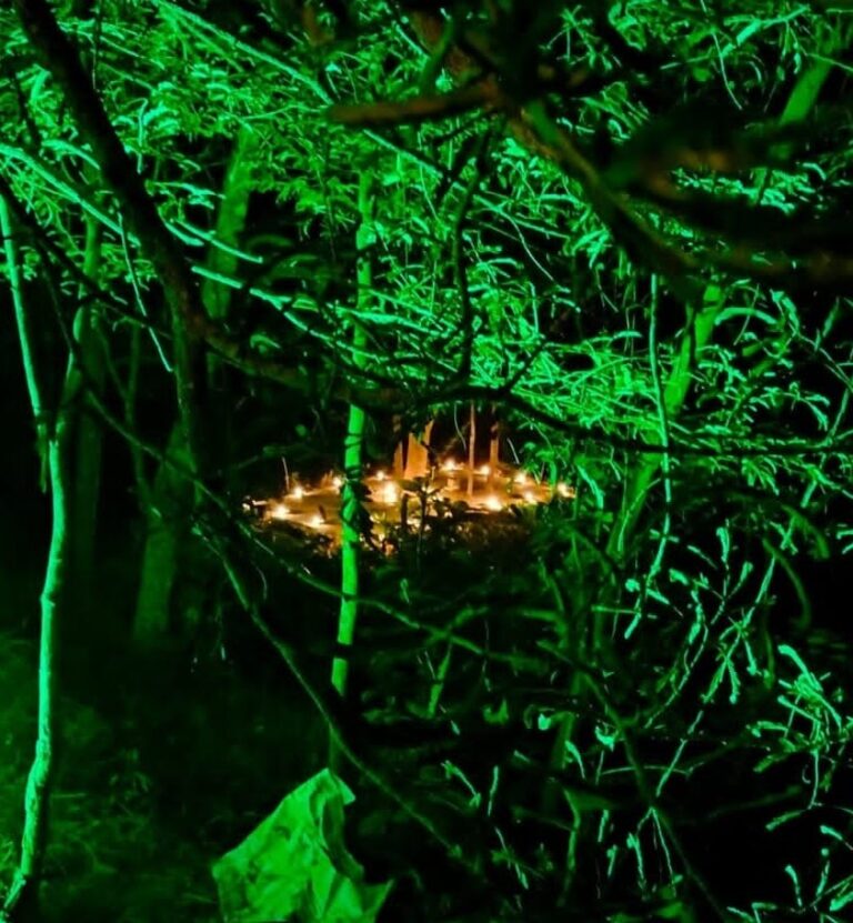 WhatsApp Image 2025-05-14 at 2.08.45 PM