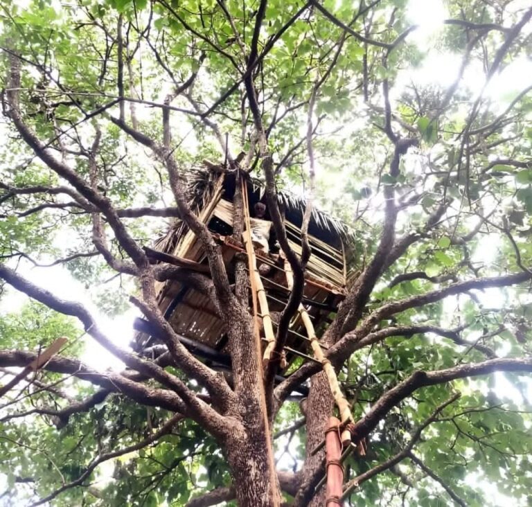 WhatsApp Image 2025-05-14 at 2.10.04 PM